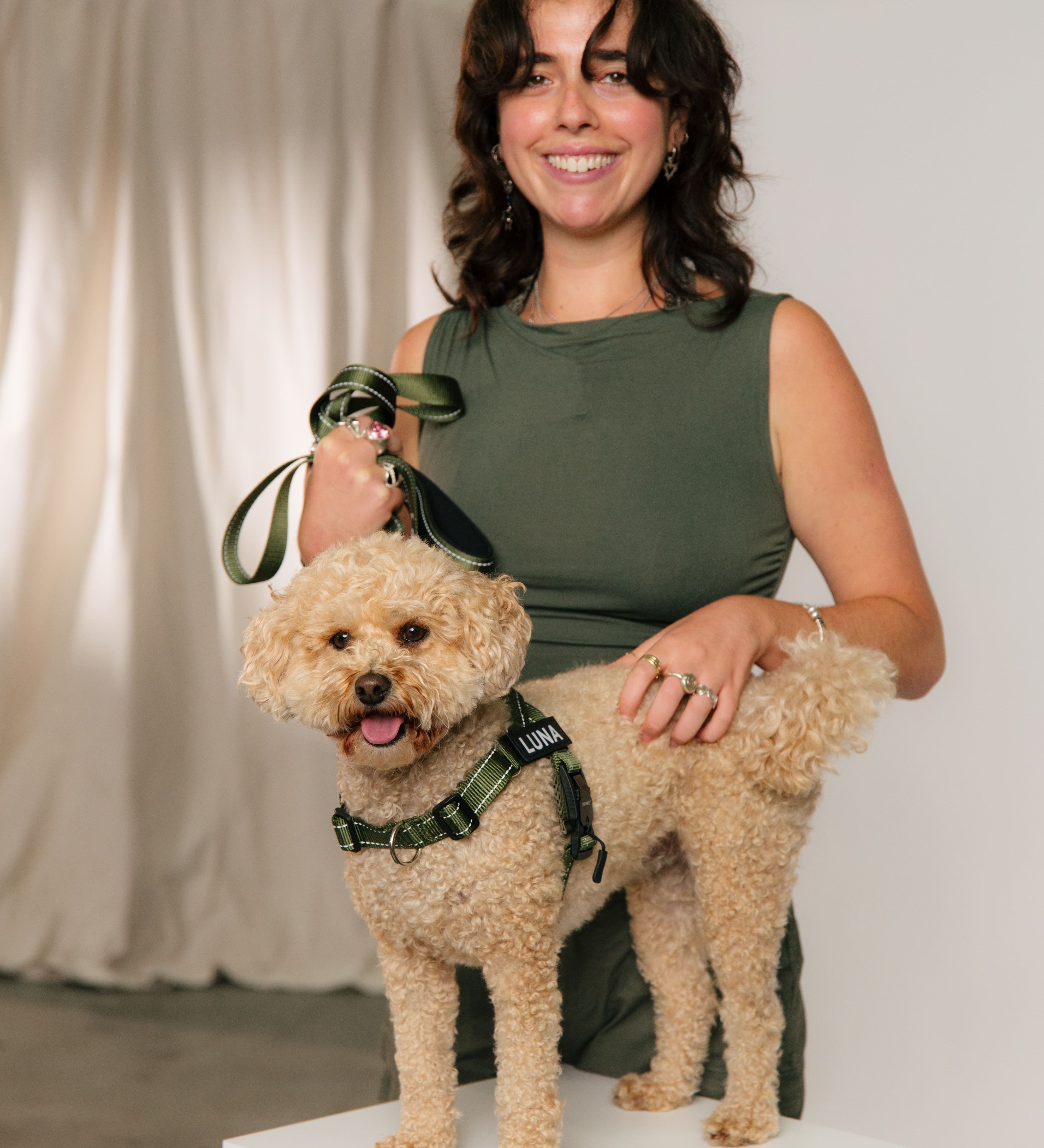 The Good Things About Using a Dog Harness with Metal Buckle Closure