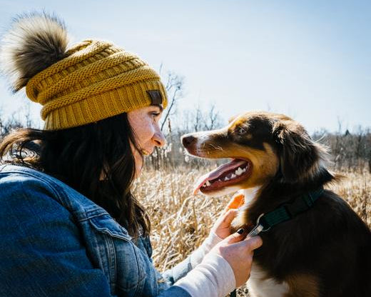 10 Tips to Practice Healthy Hygiene With Your Pets