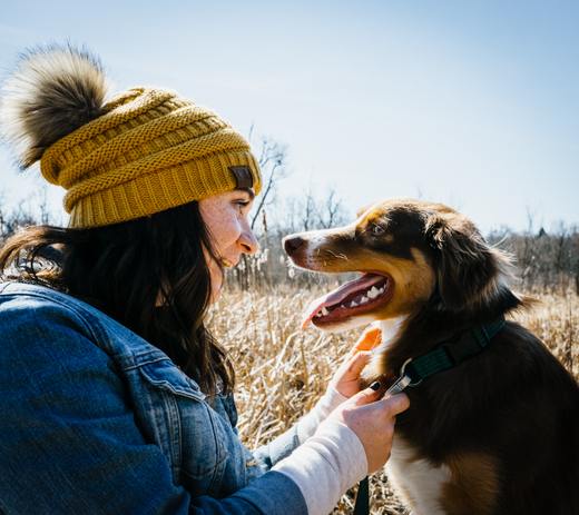 10 Tips to Practice Healthy Hygiene With Your Pets